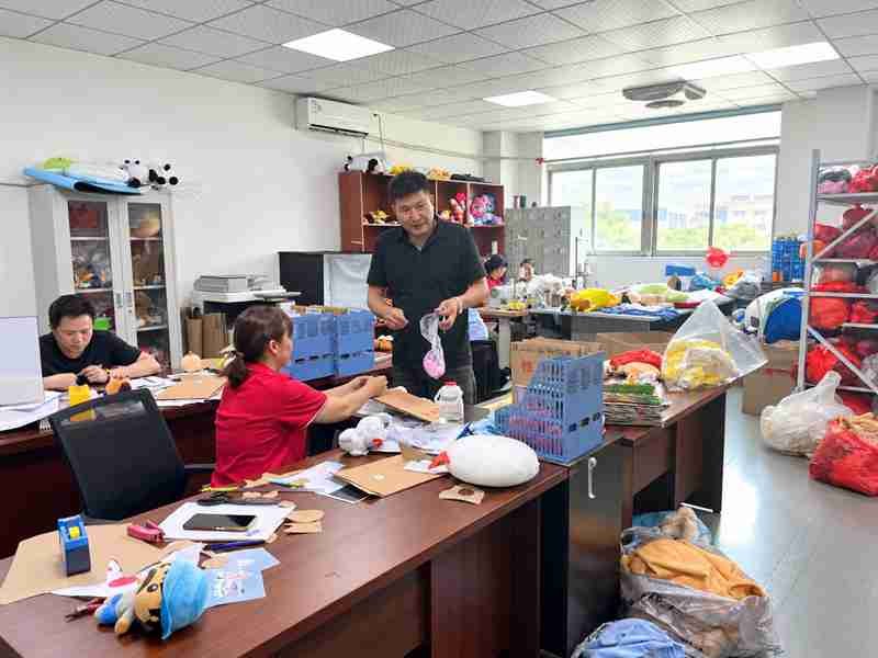22 Ewintoys Real Factory Sample room