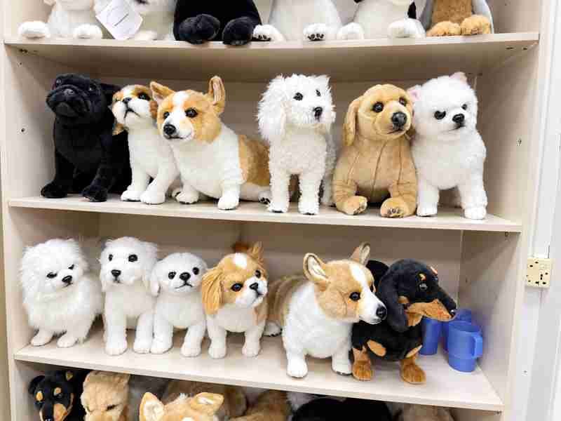 25 Ewintoys Real Factory show room 01