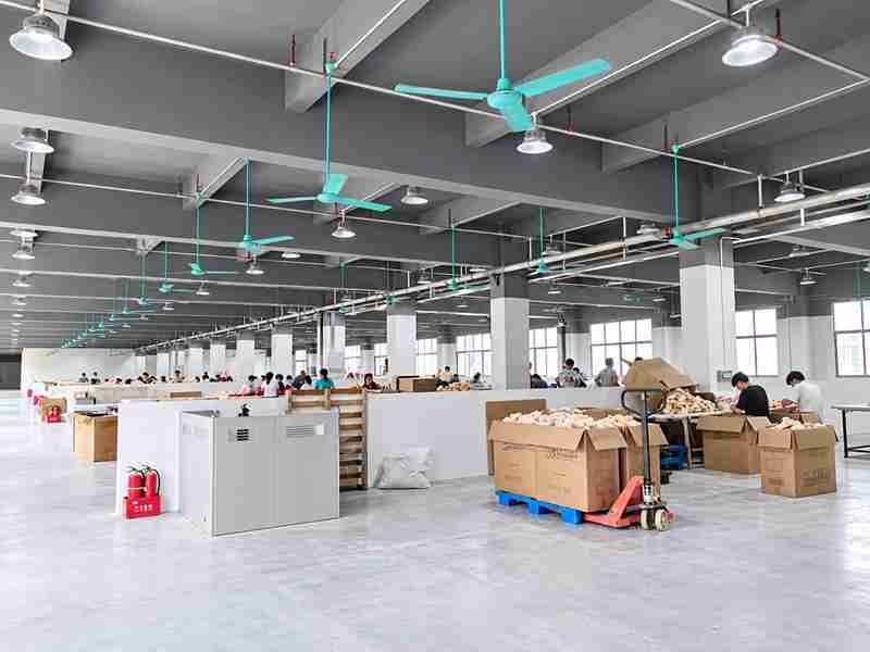 55 Ewintoys Real Factory Opening Closure and Final Finishing