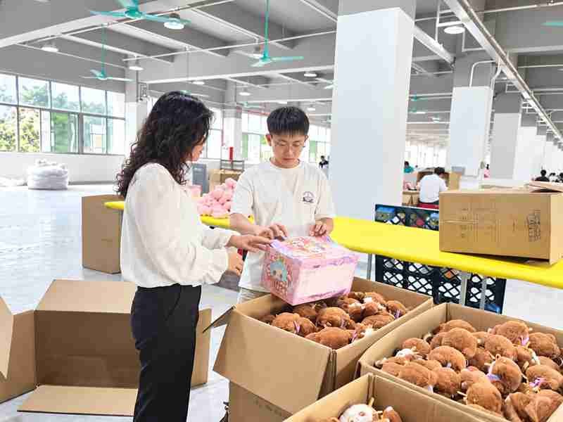71 Ewintoys Real Factory In-Process Quality Inspection 04