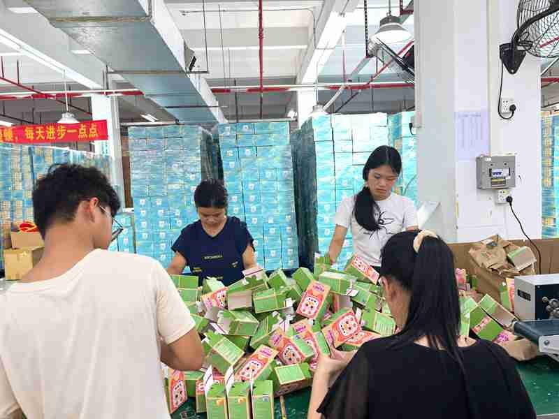73 Ewintoys Real Factory package 01