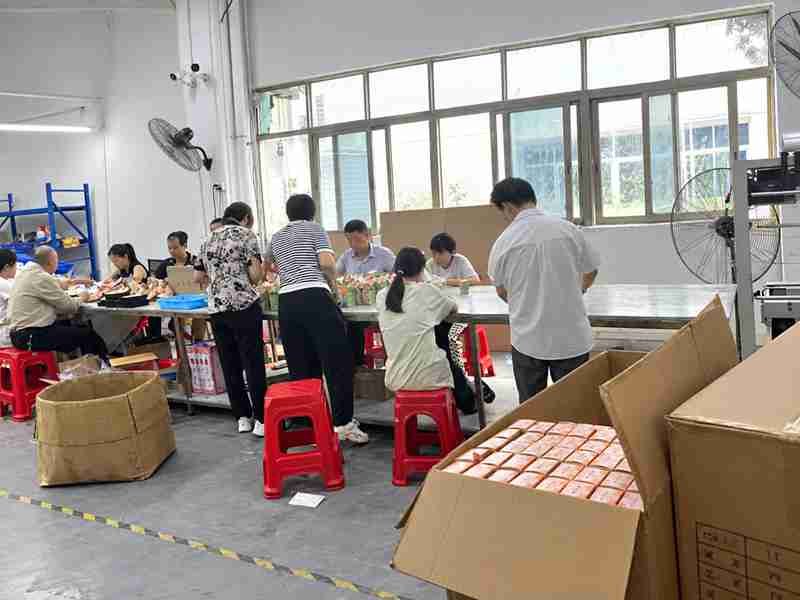 73 Ewintoys Real Factory package 03