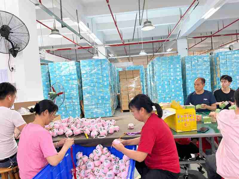 73 Ewintoys Real Factory package